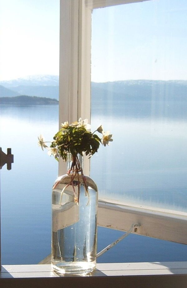 Botella de agua y planta junto a una ventana, lista para una pausa de respiración